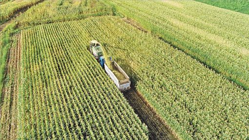 Organic farming